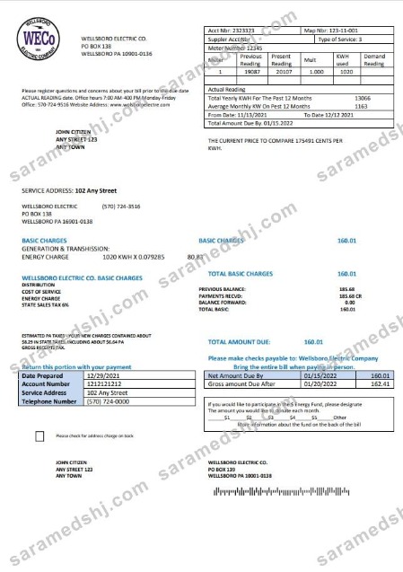 USA Pennsylvania Wellsboro Electric utility bill template in Word and PDF format